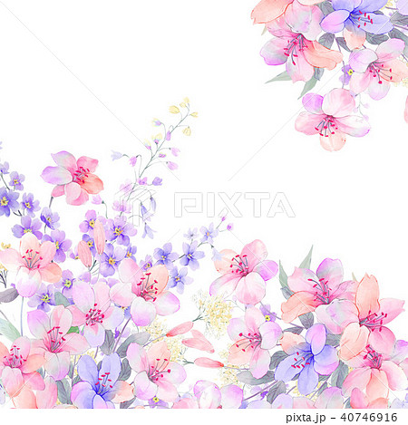 透明水彩 水彩画 ウォーターカラー 40746916