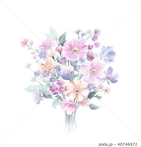 透明水彩 水彩画 ウォーターカラー 40746972