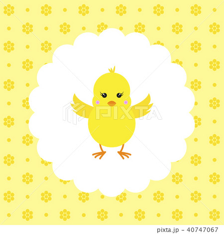 Chick. Vector. Flat. Chick. Vector. Flat. 40747067