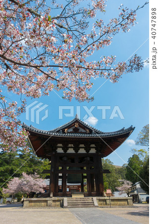 [奈良県]　奈良公園　東大寺鐘楼 40747898
