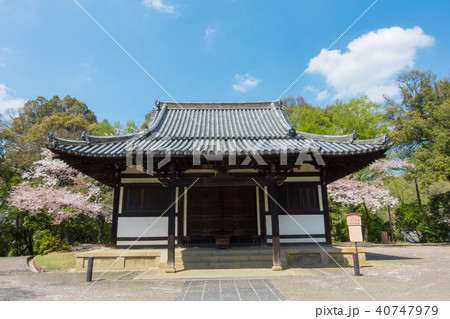 [奈良県]　奈良公園　俊乗堂 40747979