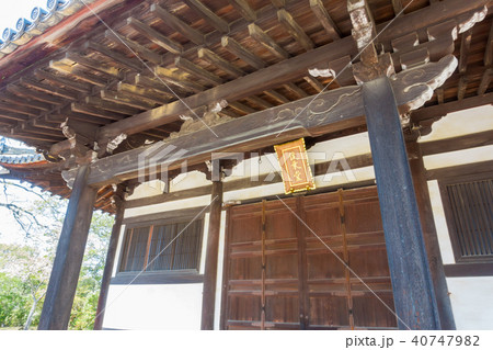 [奈良県]　奈良公園　俊乗堂 40747982