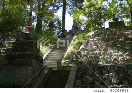 九品寺　千体地蔵 40748918