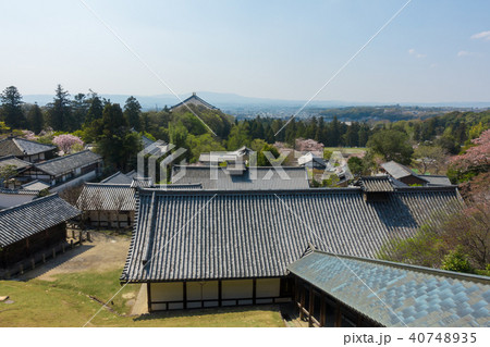 [奈良県]　奈良公園　東大寺　二月堂　展望　春　桜 40748935