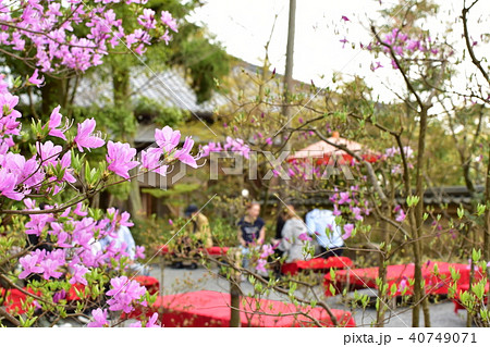 日本の美 日本の美 40749071