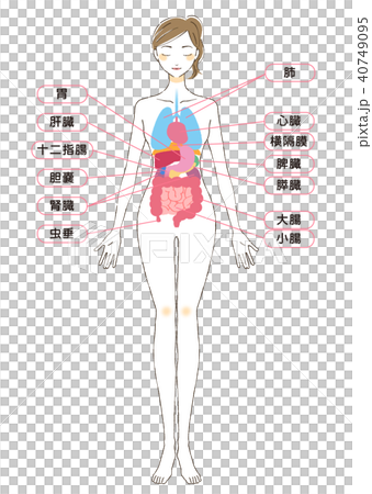 內置插圖部分身體 40749095
