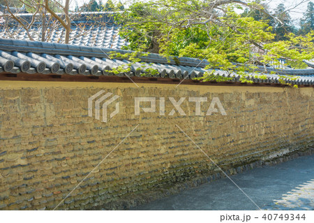 [奈良県]　奈良公園　東大寺　左大仏殿道 40749344