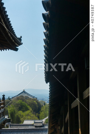 [奈良県]　奈良公園　東大寺　二月堂　展望　春　桜 40749387