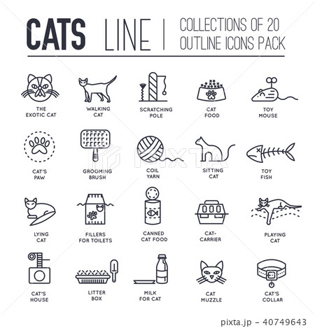 Vector thin line breed cats icons set. Vector thin line breed cats icons set. 40749643