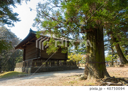 [奈良県]　奈良公園　東大寺　手向山八幡宮宝庫 40750094