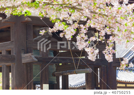 [奈良県]　奈良公園　東大寺鐘楼 40750255
