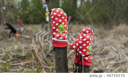 Forgotten in the forest mittens 40750570
