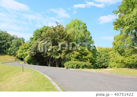 初夏の公園 初夏の公園 40751422