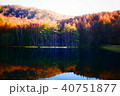 御射鹿池　紅葉 40751877