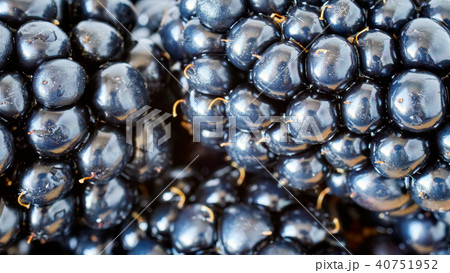 Extreme close up picture of blackberries. 40751952