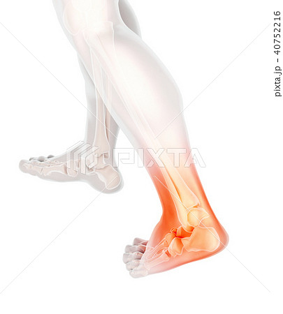 Ankle painful - skeleton x-ray. 40752216