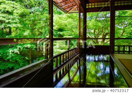 京都 瑠璃光院の新緑 京都 瑠璃光院の新緑 40752317
