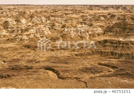 ダイナソーパーク カナダ ダイナソーパーク カナダ 40753251