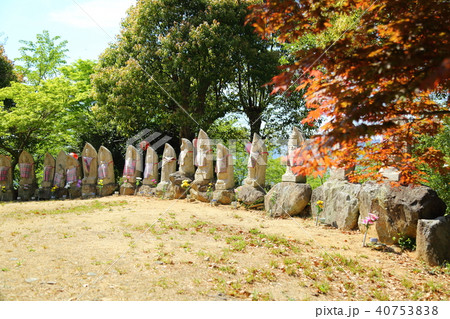 ノムラモミジと地蔵 40753838