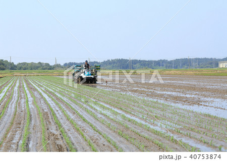 田植え機で田植えをする男性 イメージ 40753874