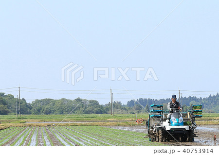 田植え機で田植えをする男性 イメージ 40753914