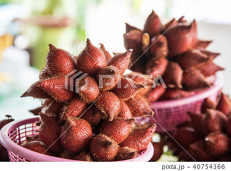 すがすがしさ 新鮮 さわやか 40754366