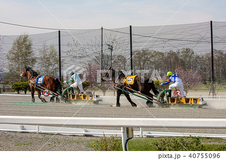 ばんえい競馬 40755096