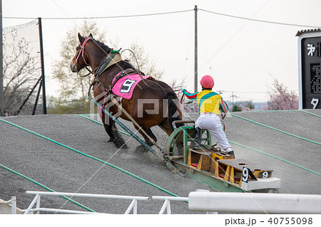 ばんえい競馬 40755098