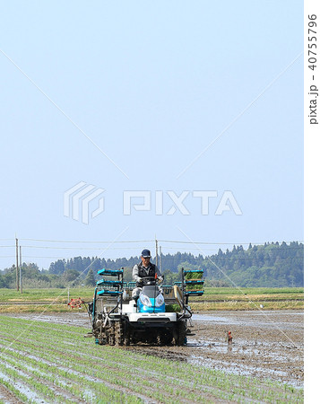 田植え機で田植えをする男性 イメージ 40755796