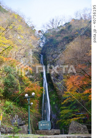 絹掛の滝 40756195