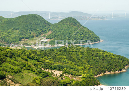 新緑の瀬戸内海の岬 新緑の瀬戸内海の岬 40756289
