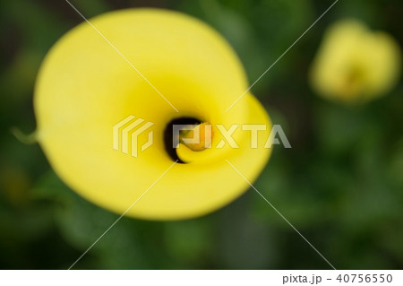 台湾 台中市 台中 40756550