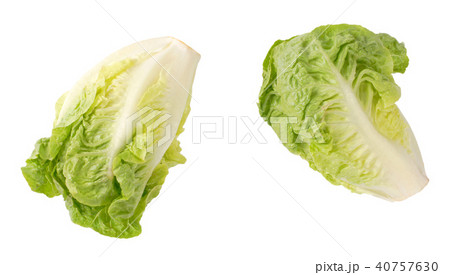 little gem lettuce little gem lettuce 40757630