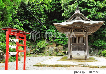 時宗総本山遊行寺境内の宇賀神社と新緑 40758098