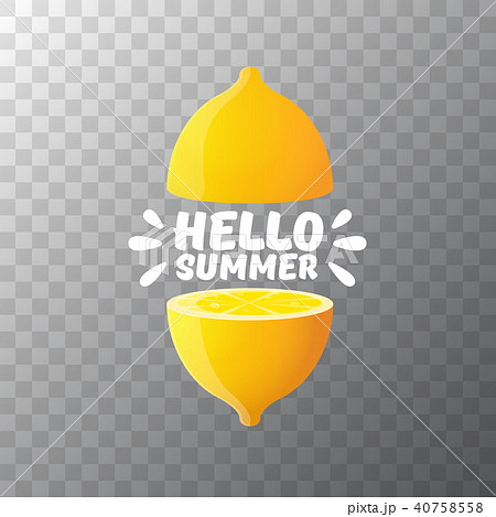 Vector Hello Summer Beach Party Flyer Design template with fresh lemon isolated on transparent 40758558