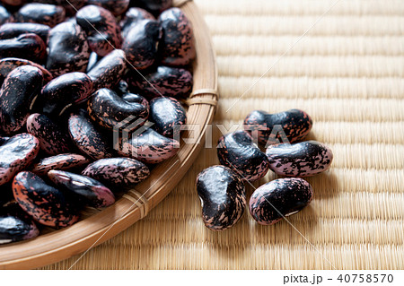 花豆　べにばないんげん 40758570