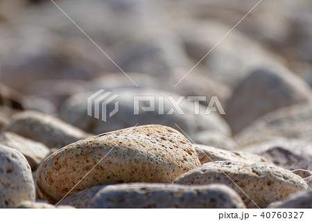 磯浜の石　城原海岸 40760327