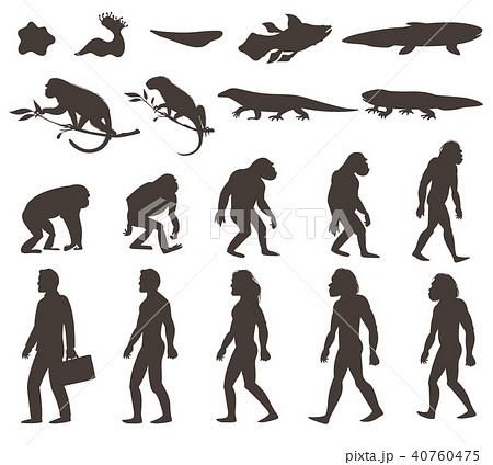 Human Darwin Evolution Silhouettes Setのイラスト素材