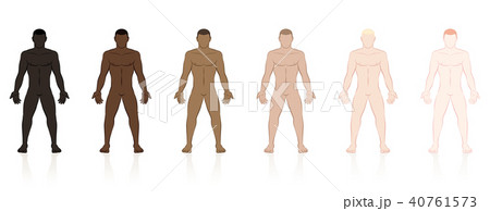 Skin Types Ethnic Colors Male Bodies Skin Types Ethnic Colors Male Bodies 40761573