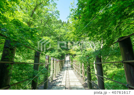 花貫渓谷 汐見滝吊り橋　新緑 40761617