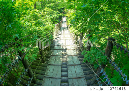 花貫渓谷 汐見滝吊り橋 新緑 花貫渓谷 汐見滝吊り橋 新緑 40761618