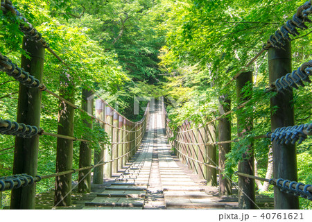 花貫渓谷 汐見滝吊り橋　新緑 40761621
