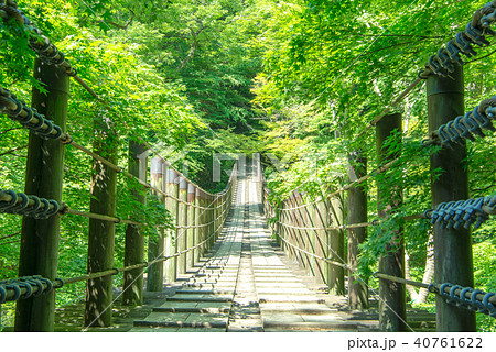 花貫渓谷 汐見滝吊り橋 新緑の写真素材