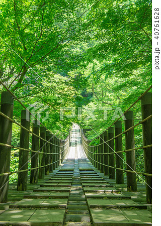 花貫渓谷 汐見滝吊り橋 新緑の写真素材