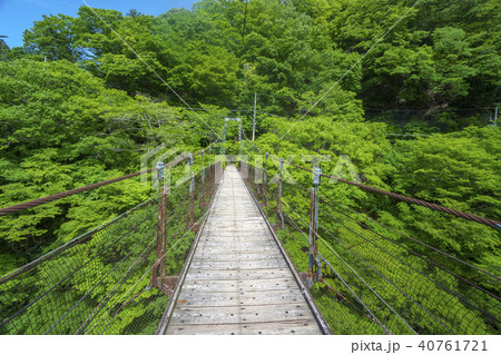 新緑の惣岳渓谷 しだくら橋の写真素材