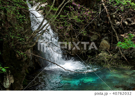 岐阜県加子母乙女渓谷の滝 岐阜県加子母乙女渓谷の滝 40762032