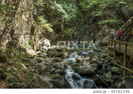 小秀山登山道 40762246