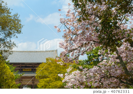[奈良県]　奈良公園　東大寺 南大門 40762331