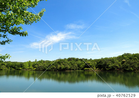 愛 地球博記念公園 モリコロパーク の大自然 愛知県 の写真素材