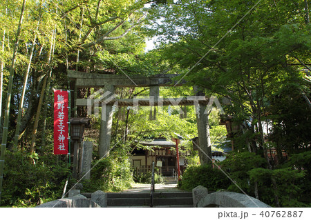 京都　熊野若王子神社 40762887